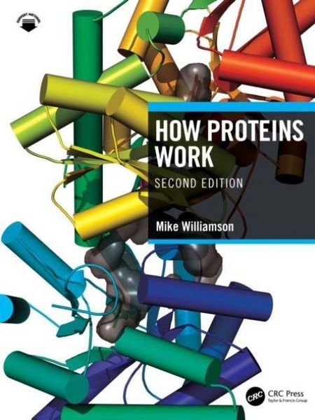 Produktbild: How Proteins Work