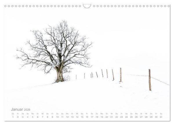 Produktbild: Astrein! - Der Baumkalender 2026 (Wandkalender 2026 DIN A3 quer), CALVENDO Monatskalender