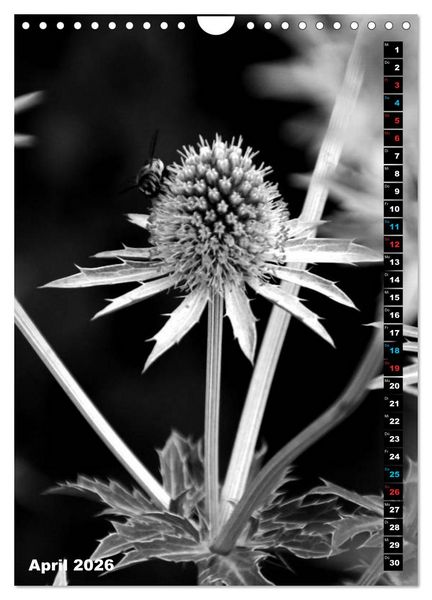 Produktbild: Blumige Graustufen - Schwarz und Wei&szlig; (Wandkalender 2026 DIN A4 hoch), CALVENDO Monatskalender