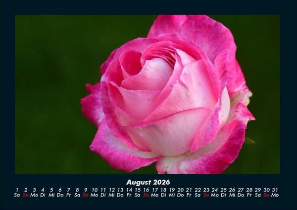 Produktbild: Rosentraum 2026 Fotokalender DIN A4