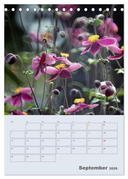 Produktbild: Magie im Garten (Tischkalender 2026 DIN A5 hoch), CALVENDO Monatskalender
