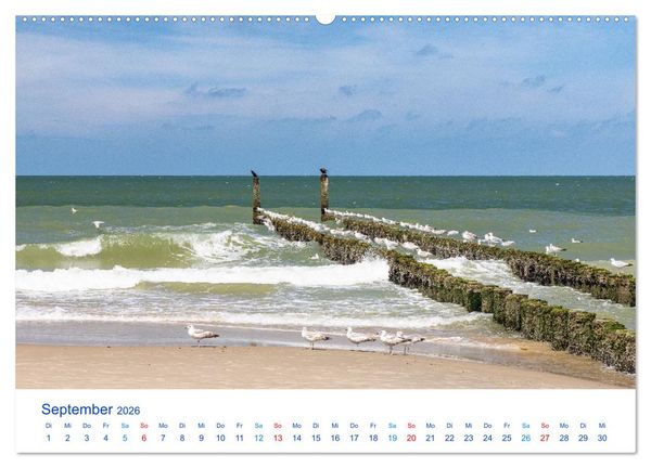 Produktbild: Sommer in Seeland (Wandkalender 2026 DIN A2 quer), CALVENDO Monatskalender