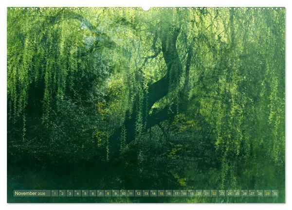 Produktbild: Vielfalt der B&auml;ume - variety of trees (hochwertiger Premium Wandkalender 2026 DIN A2 quer), Kunstdruck in Hochglanz