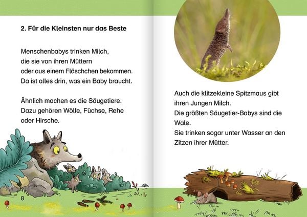 Produktbild: Was fressen die Tiere im Wald?