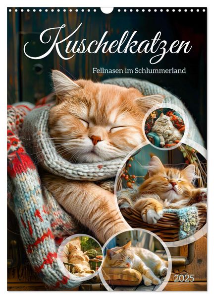 Kuschelkatzen - Fellnasen im Schlummerland (Wandkalender 2025 DIN A3 hoch), CALVENDO Monatskalender