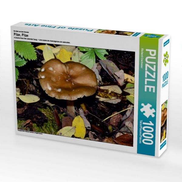 Produktbild: CALVENDO Puzzle Ein Motiv aus dem Kalender Pilze, Pilze | 1000 Teile Lege-Gr&ouml;&szlig;e 64x48cm Foto-Puzzle f&uuml;r gl&uuml;ckliche Stunden