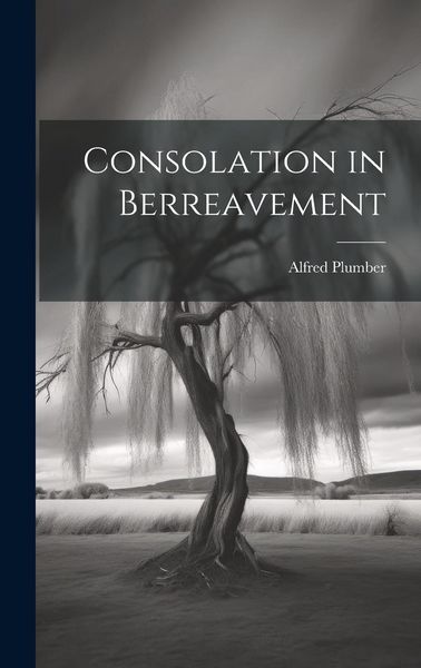 Produktbild: Consolation in Berreavement