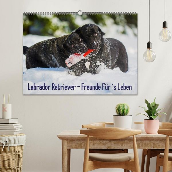 Produktbild: Labrador Retriever - Freunde f&uuml;r&acute;s Leben (Wandkalender 2026 DIN A2 quer), CALVENDO Monatskalender