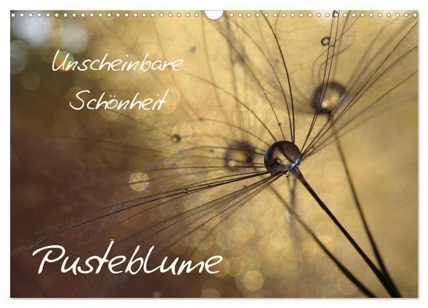 Produktbild: Unscheinbare Sch&ouml;nheit - Pusteblume (Wandkalender 2026 DIN A3 quer), CALVENDO Monatskalender