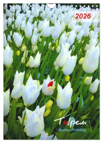 Produktbild: Tulpen. Bunter Fr&uuml;hling (Wandkalender 2026 DIN A4 hoch), CALVENDO Monatskalender
