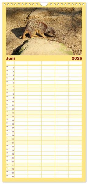 Produktbild: Familienplaner 2026 - Erdm&auml;nnchen - Zusammen sind wir stark mit 5 Spalten (Wandkalender, 21 x 45 cm) CALVENDO