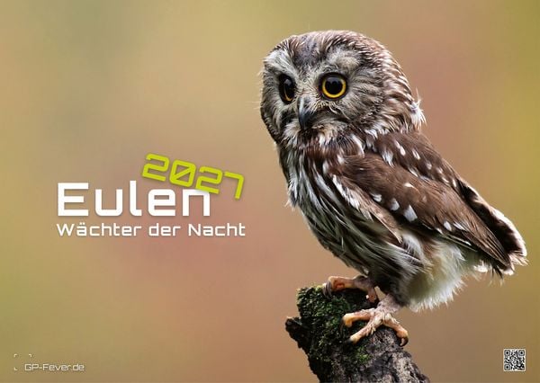 Produktbild: Eulen - W&auml;chter der Nacht - 2027 - Kalender DIN A3