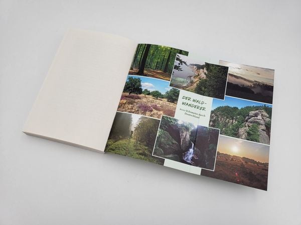 Produktbild: Der Waldwanderer