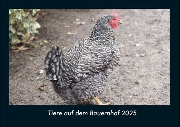 Produktbild: Tiere auf dem Bauernhof 2025 Fotokalender DIN A4