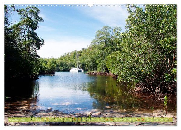 Produktbild: Mangroves - Valuable Habitat (High Quality Premium Wall Calendar 2026 DIN A2 landscape),CALVENDO 12 Month Wall Calendar