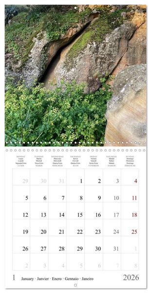 Produktbild: Sardegna - landscapes, sea and food from Sardinia (Wall Calendar 2026 12 &times; 12 Inch) CALVENDO 12 Month Wall Calendar