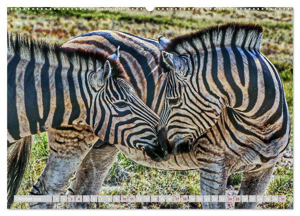 Produktbild: Namibia &ndash; Die Tierwelt vom Caprivi bis Etosha (Wandkalender 2026 DIN A2 quer), CALVENDO Monatskalender