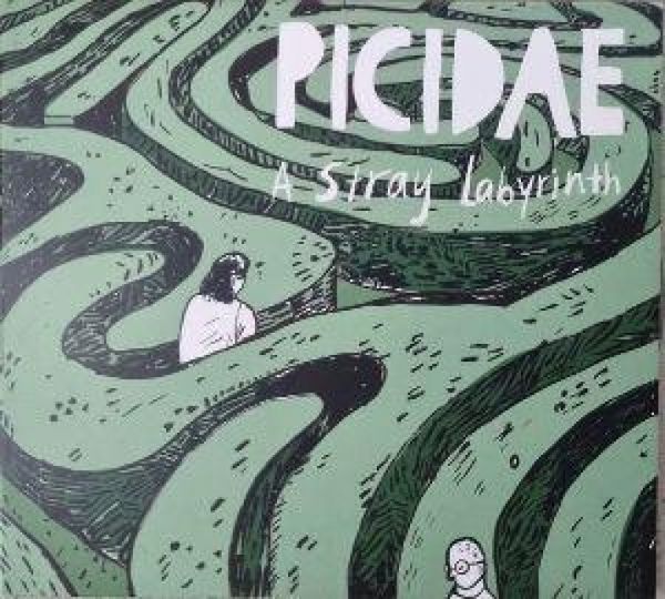 Produktbild: A Stray Labyrinth