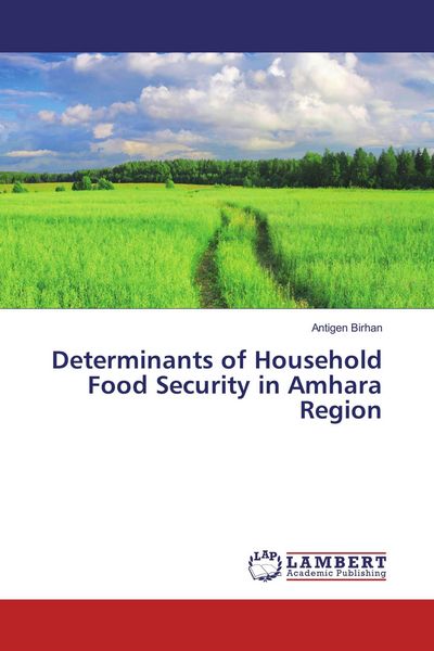 Produktbild: Determinants of Household Food Security in Amhara Region