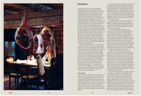 Produktbild: F&auml;viken