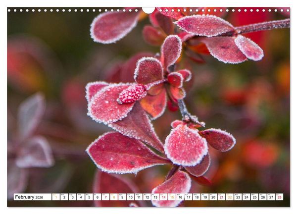 Produktbild: Four seasons in Estonia (Wall Calendar 2026 DIN A3 landscape), CALVENDO 12 Month Wall Calendar