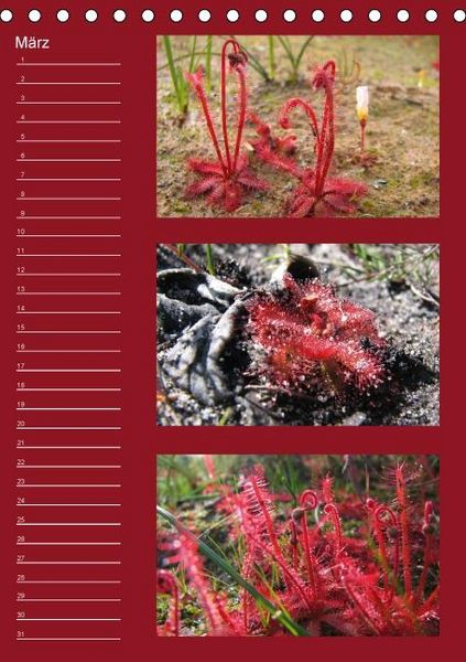 Produktbild: Zauberwelt der Blumen - Eiskristalle & Wasserperlen / Geburtstagskalender (Tischkalender immerw&auml;hrend DIN A5 hoch)