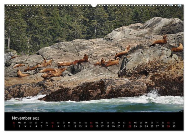 Produktbild: Vancouver und Vancouver Island 2026 (Wandkalender 2026 DIN A2 quer), CALVENDO Monatskalender