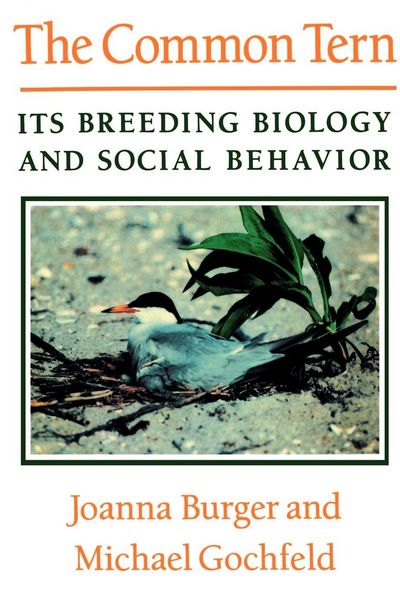 Produktbild: The Common Tern