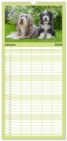 Produktbild: Familienplaner 2026 - Liebenswerter Clown Bearded Collie mit 5 Spalten (Wandkalender, 21 x 45 cm) CALVENDO