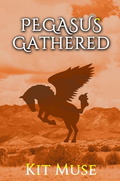 Produktbild: Pegasus Gathered: Founding the Pegasus Academy (The Pegasus Enchantment, #3)