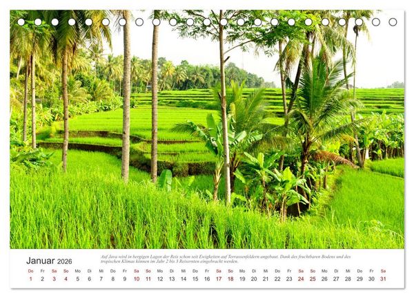 Produktbild: JAVA Natur pur (Tischkalender 2026 DIN A5 quer), CALVENDO Monatskalender