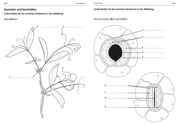 Produktbild: Botanik