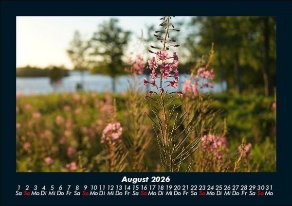 Produktbild: Blumentraum 2026 Fotokalender DIN A5