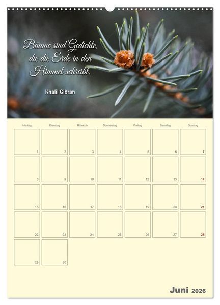 Produktbild: Gartenliebe (Wandkalender 2026 DIN A2 hoch), CALVENDO Monatskalender
