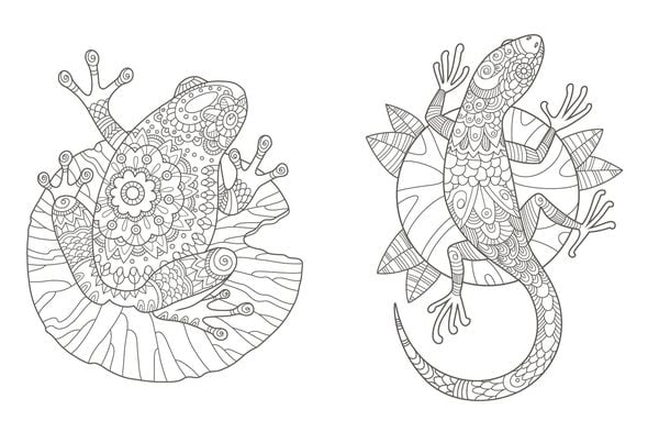 Produktbild: Colorful Mandala &ndash; Mandala &ndash; Spaziergang durch die Natur