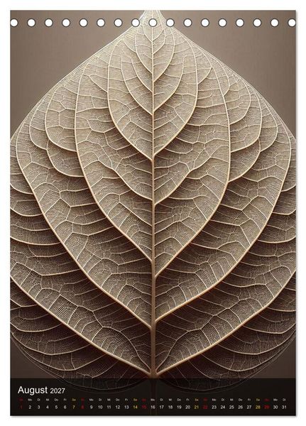 Produktbild: Geometrie der Natur &ndash; Formen, Muster, Strukturen (Tischkalender 2027 DIN A5 hoch), CALVENDO Monatskalender