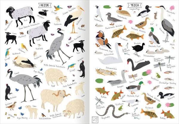 Produktbild: Naturforscher-Kids &ndash; Stickerheft Heimische Tierwelt