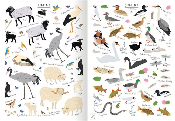 Produktbild: Naturforscher-Kids &ndash; Stickerheft Heimische Tierwelt