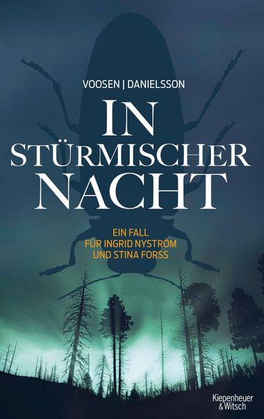Produktbild: In st&uuml;rmischer Nacht