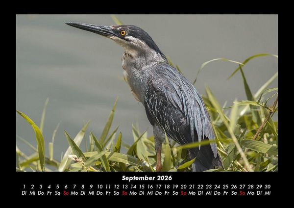 Produktbild: Natur 2026 Fotokalender DIN A3