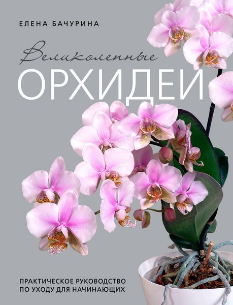 Produktbild: Velikolepnye orhidei. Praktichnoe rukovodstvo po uhodu dlya nachinayuschih