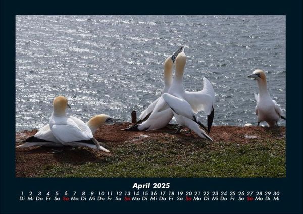 Produktbild: Seeblick 2025 Fotokalender DIN A4