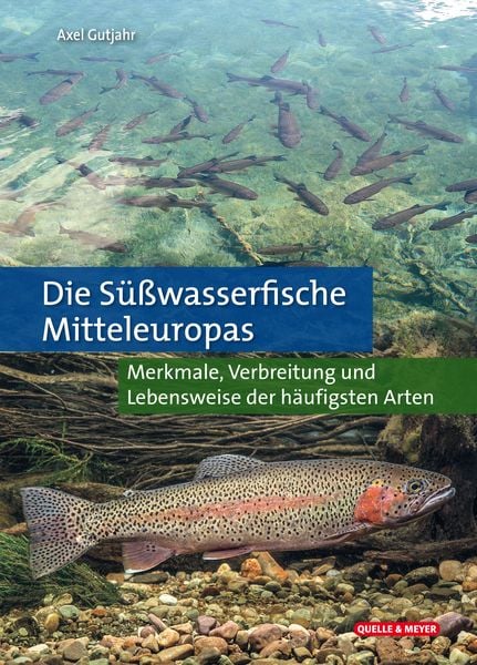 Produktbild: Die S&uuml;&szlig;wasserfische Mitteleuropas