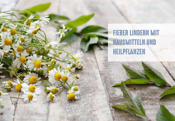Produktbild: Naturheilkunde gegen Schmerzen und Fieber