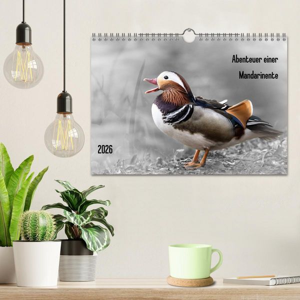 Produktbild: Abenteuer einer Mandarinente (Wandkalender 2026 DIN A4 quer), CALVENDO Monatskalender