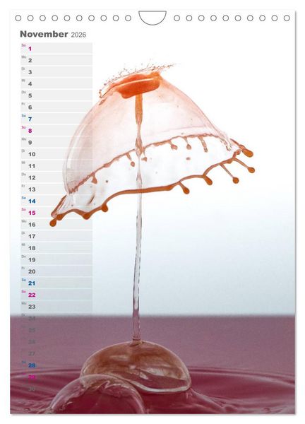 Produktbild: Farbenfreudig (Wandkalender 2026 DIN A4 hoch), CALVENDO Monatskalender