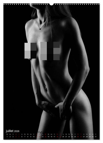 Produktbild: Apparat lumineux (Calendrier mural 2026 DIN A2 horizontal) calendrier de bureau