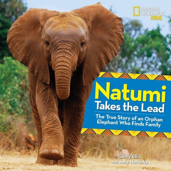 Produktbild: Natumi Takes The Lead