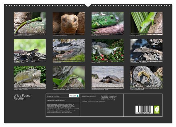 Produktbild: Wilde Fauna - Reptilien (hochwertiger Premium Wandkalender 2026 DIN A2 quer), Kunstdruck in Hochglanz