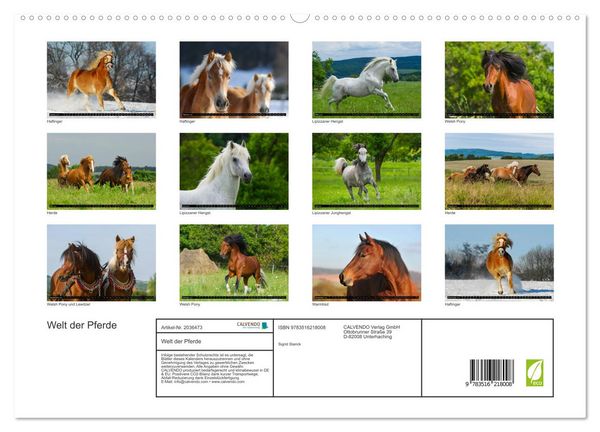 Produktbild: Welt der Pferde (hochwertiger Premium Wandkalender 2026 DIN A2 quer), Kunstdruck in Hochglanz
